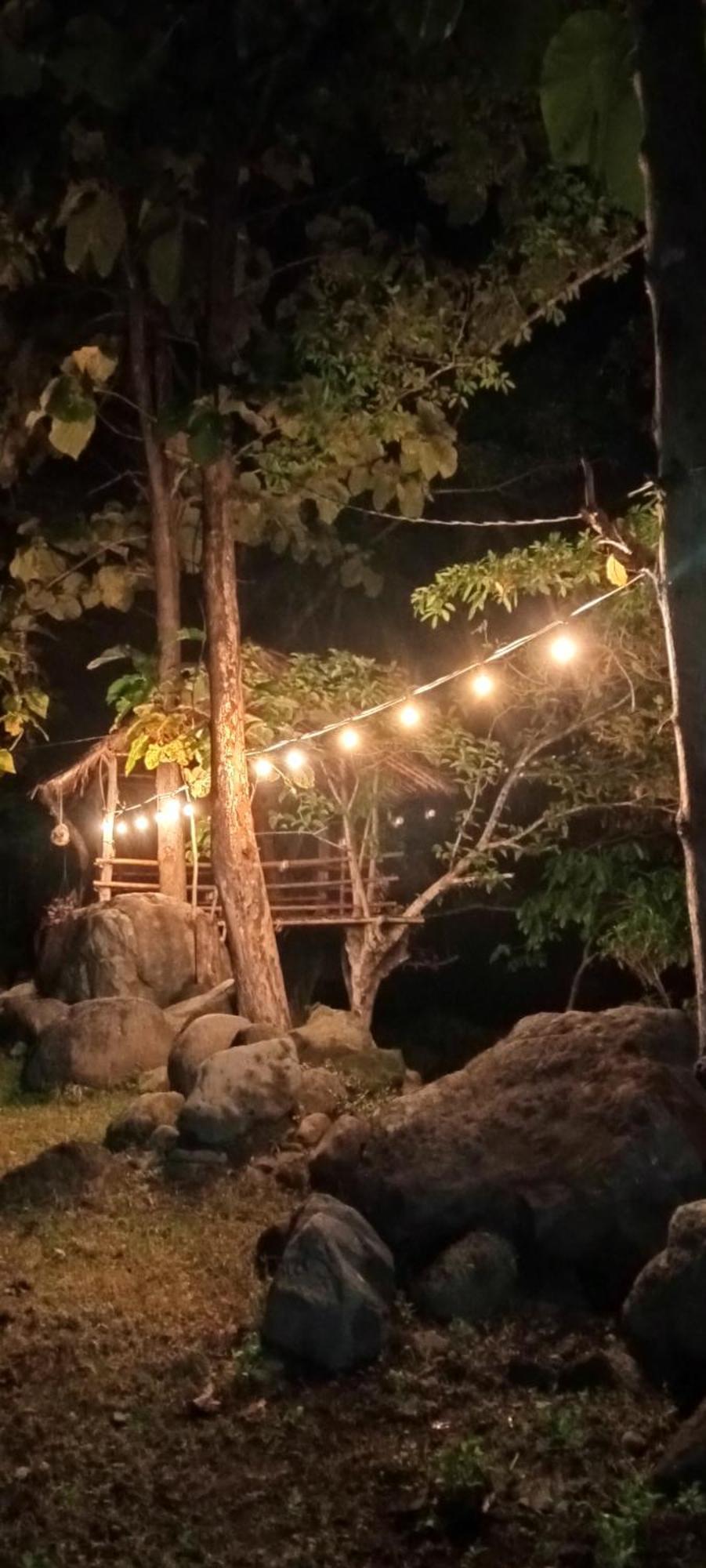 Tiu Batu Homestay Alas Екстер'єр фото